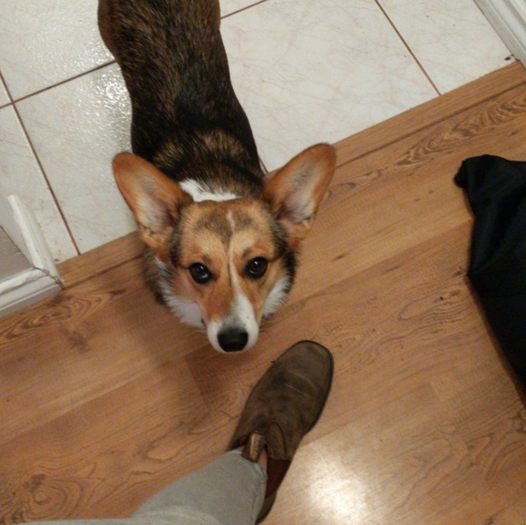 Meet your Posher, Laura - Picture 1 of 1